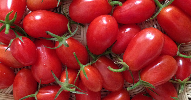 Fresh grape tomatoes