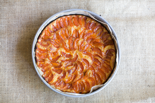 An overhead view of the apricot kuchen, a cake topped with sliced apricots, still in the pan.