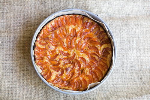 Apricot Kuchen