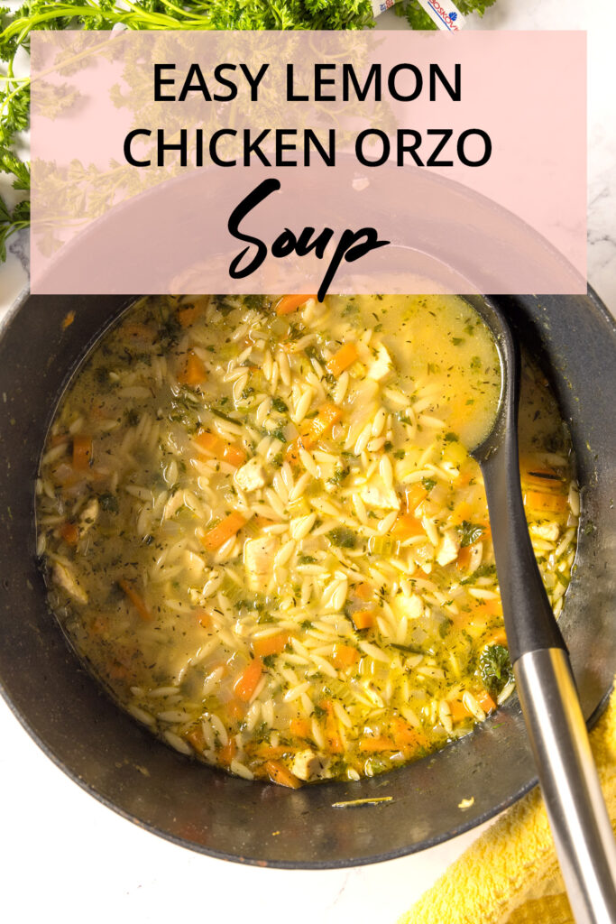 A bowl of chicken soup with carrots and celery.