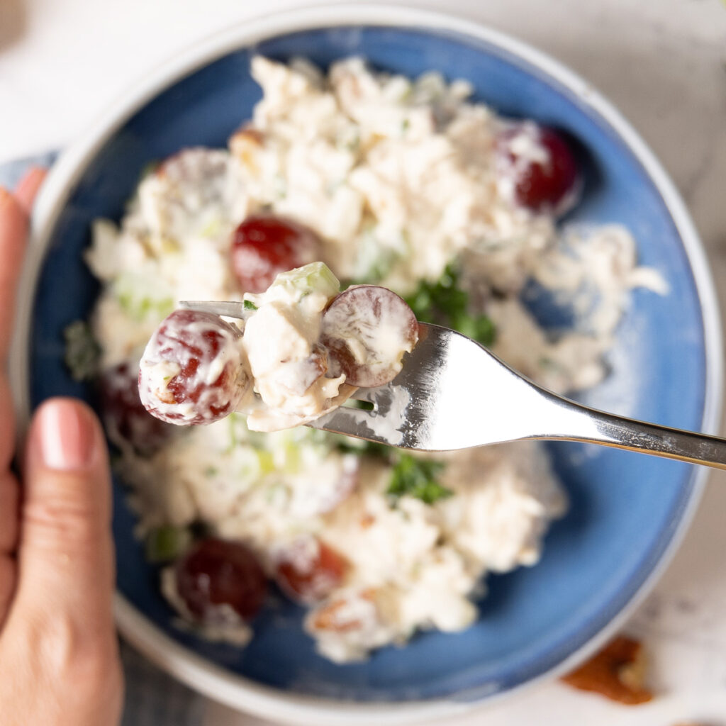 Detail of chcken salad with a forkful of salad consisting of creamy dressing, red grapes, chunks of chicken, bits of celery, onion, and herbs.