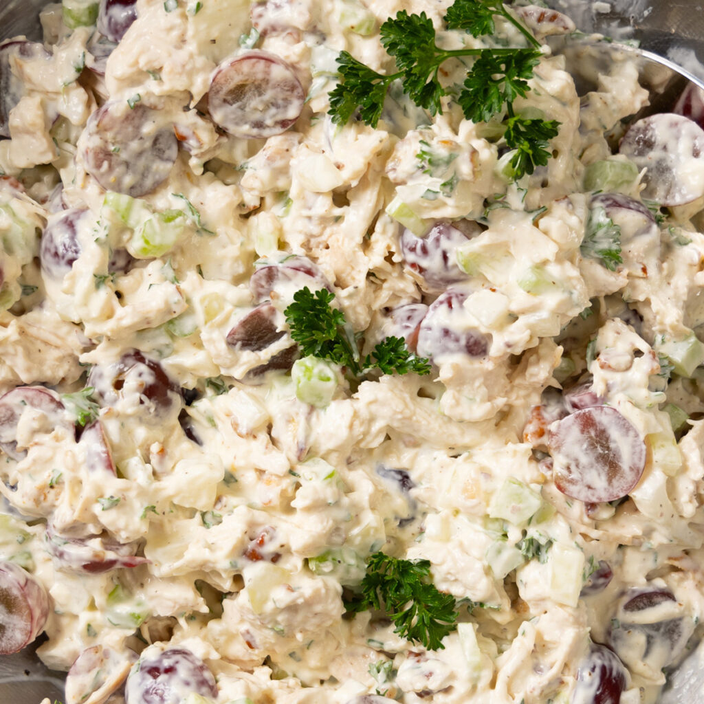 Detail of chcken salad consisting of creamy dressing, red grapes, chunks of chicken, bits of celery, onion, and herbs.  